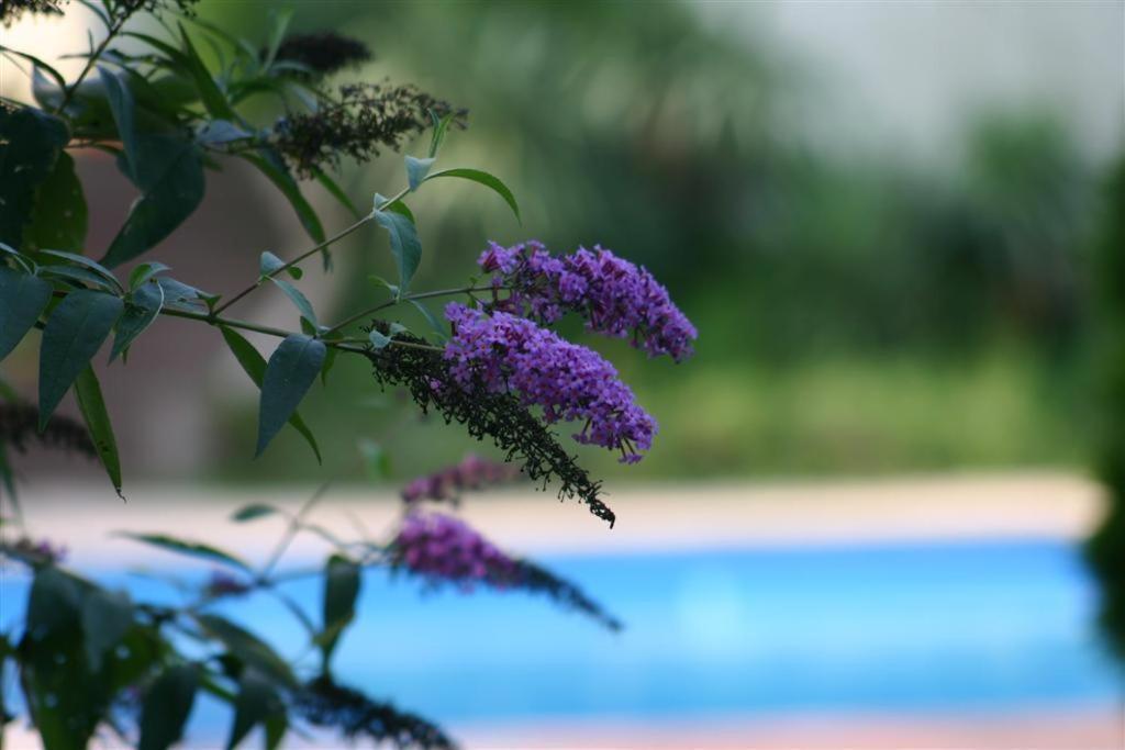 Bois Joli De La Freyere Bed & Breakfast Hindisheim Bagian luar foto
