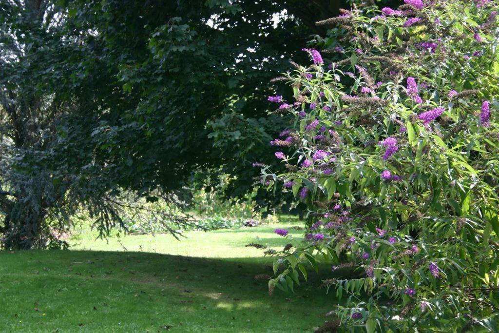 Bois Joli De La Freyere Bed & Breakfast Hindisheim Bagian luar foto