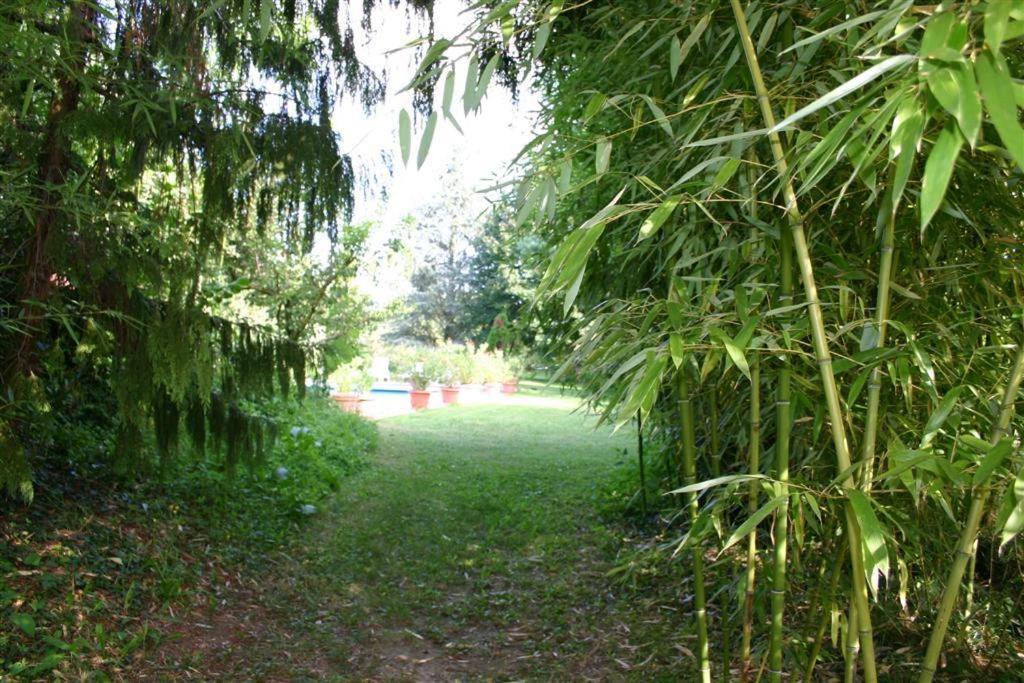 Bois Joli De La Freyere Bed & Breakfast Hindisheim Bagian luar foto