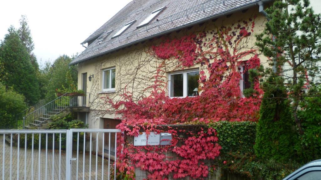 Bois Joli De La Freyere Bed & Breakfast Hindisheim Bagian luar foto